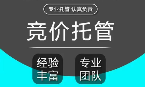 竞价帐户托管